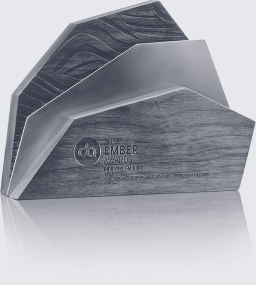 Digital Alberta Ember Award - Black and White - For Web Design and Animation project: KidClot