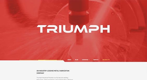 Triumph Website Development by SAVIAN